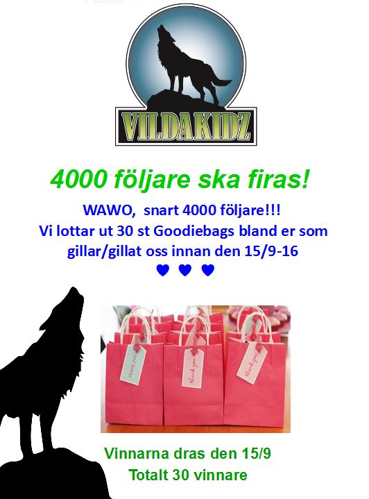 4000-foljare-goodiebags