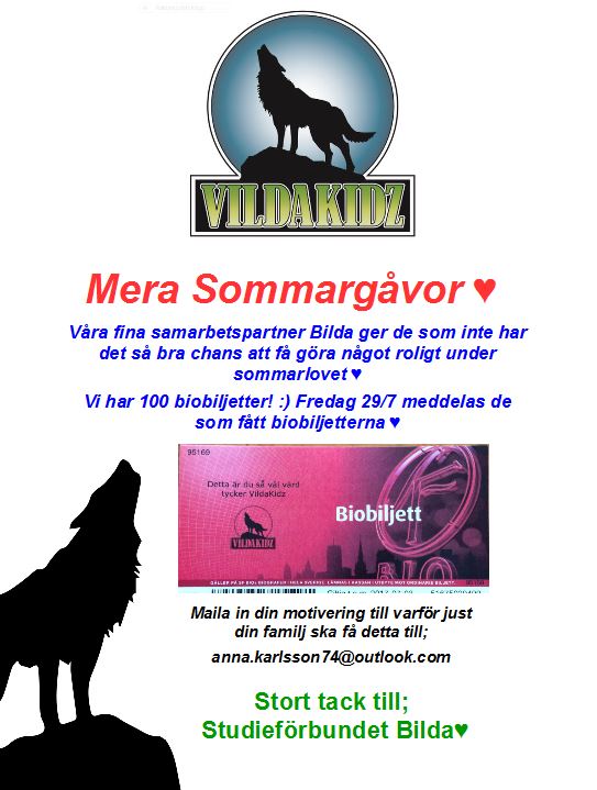 sommargavor-bio