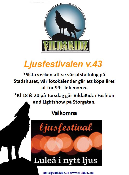 ljusfestivalen-v-43