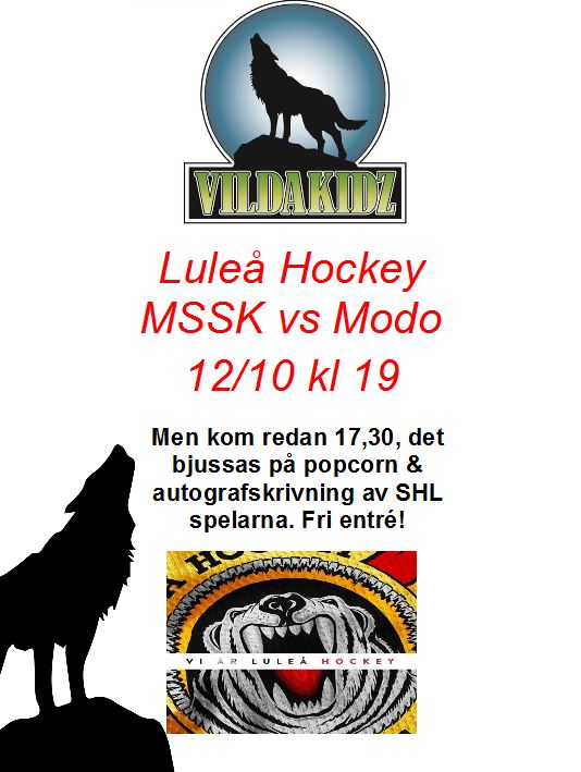 lulea-hockey-mssk-vs-modo