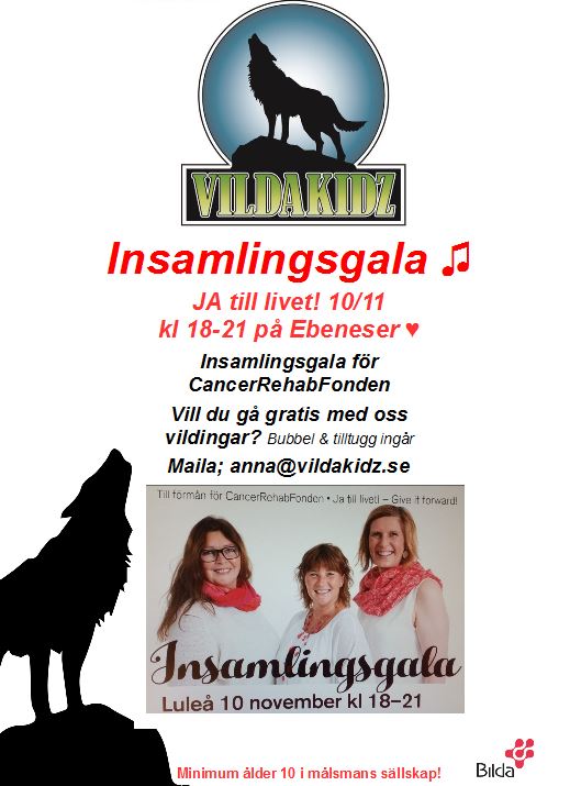 insamlingsgala-ja-till-livet