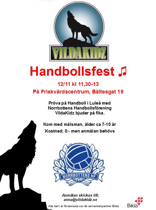 handbollsfest