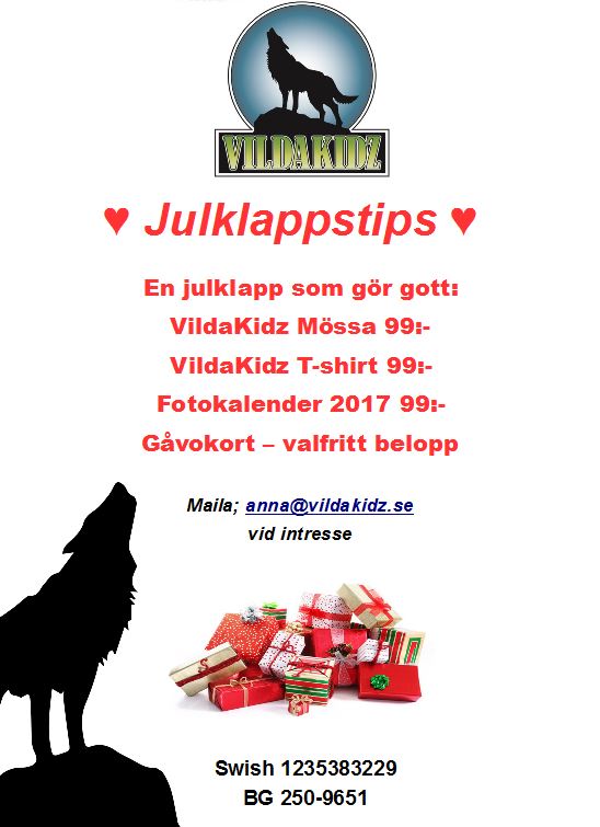 julklappstips-julen-2016